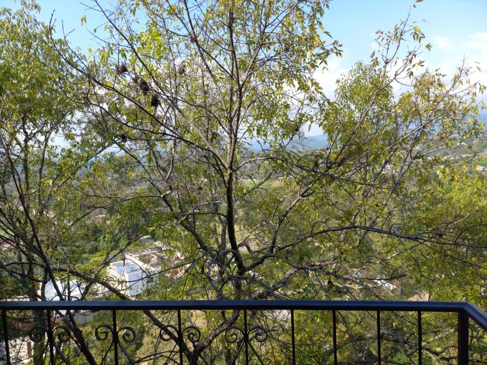 Solache Inn Zitácuaro Zewnętrze zdjęcie