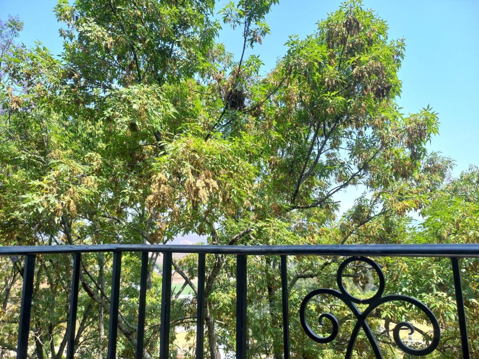 Solache Inn Zitácuaro Pokój zdjęcie