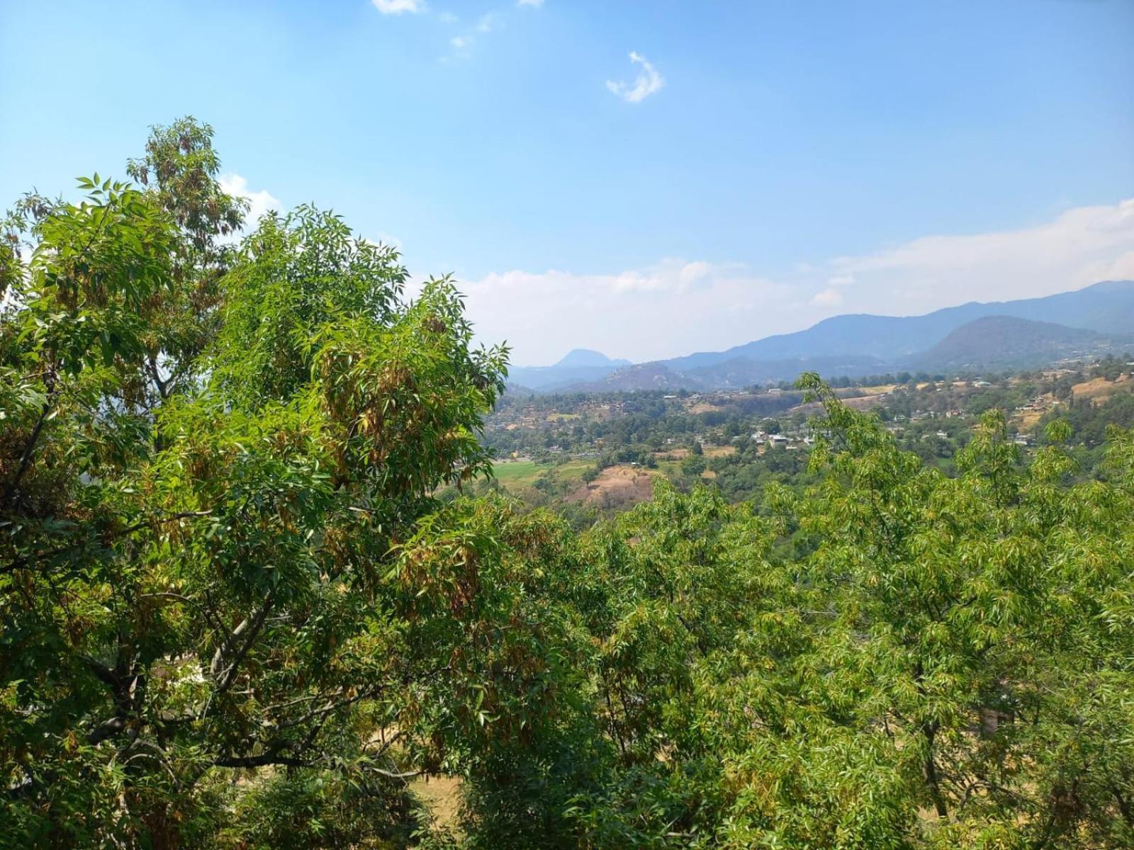 Solache Inn Zitácuaro Pokój zdjęcie
